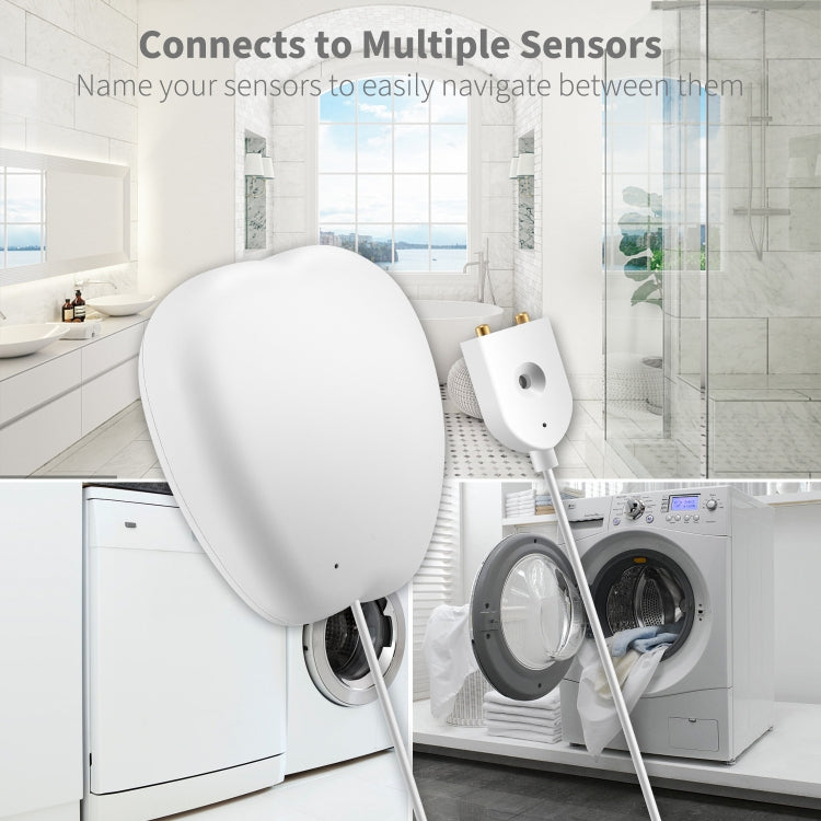 RSH-WL03 Tuya Smart Water Level Alarm WiFi Water Leakage Remote Water Flooding Detector RSH-WL03 Tuya Smart Water Level Alarm WiFi Water Leakage Remote Water Flooding Detector